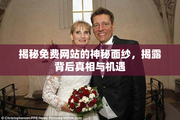 揭秘免费网站的神秘面纱，揭露背后真相与机遇