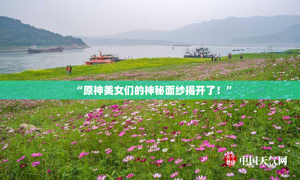 “原神美女们的神秘面纱揭开了！”