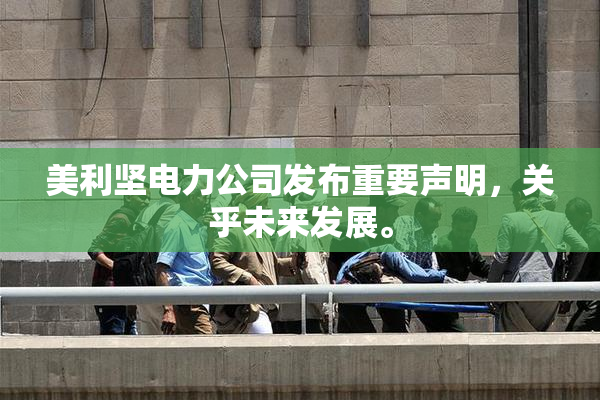 美利坚电力公司发布重要声明，关乎未来发展。