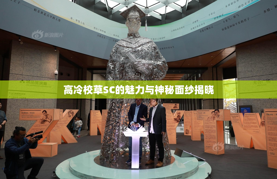 高冷校草SC的魅力与神秘面纱揭晓