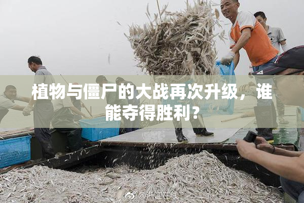 植物与僵尸的大战再次升级，谁能夺得胜利？