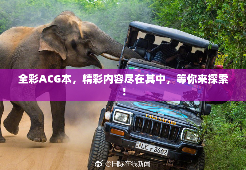 全彩ACG本，精彩内容尽在其中，等你来探索！