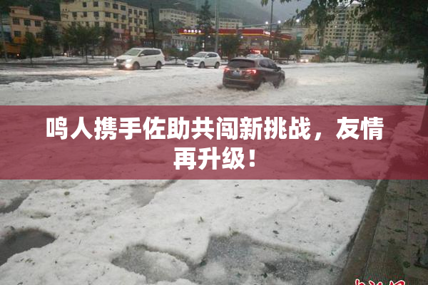 鸣人携手佐助共闯新挑战，友情再升级！