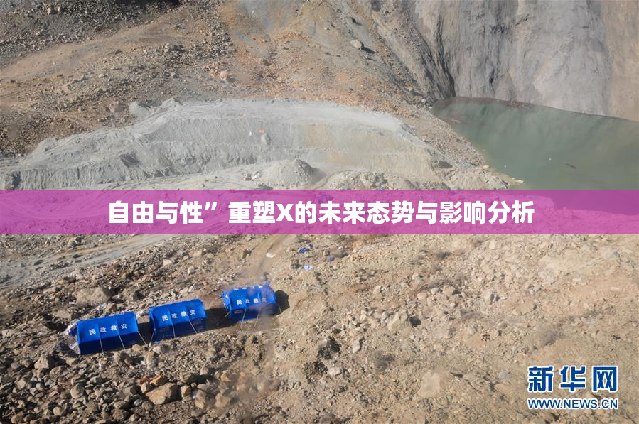 自由与性”重塑X的未来态势与影响分析