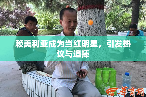 赖美利亚成为当红明星，引发热议与追捧
