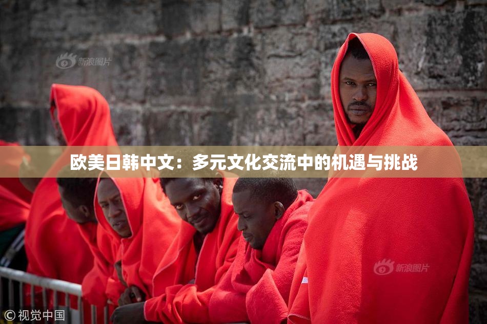 欧美日韩中文：多元文化交流中的机遇与挑战