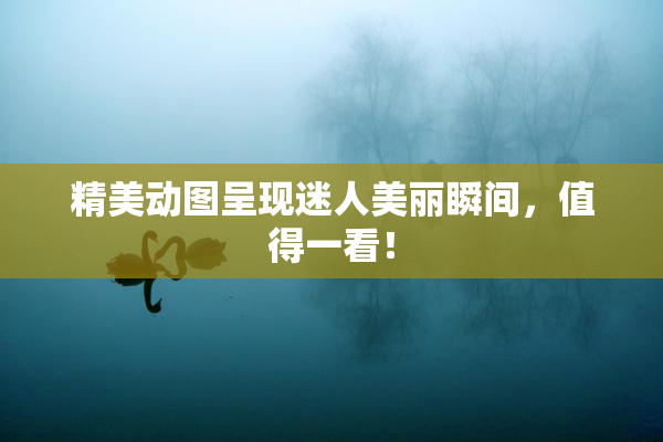 精美动图呈现迷人美丽瞬间，值得一看！