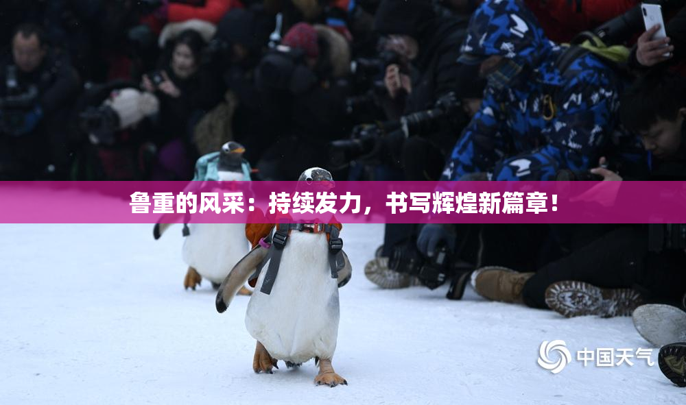 鲁重的风采：持续发力，书写辉煌新篇章！