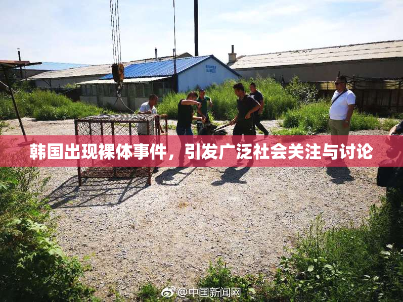 韩国出现裸体事件，引发广泛社会关注与讨论