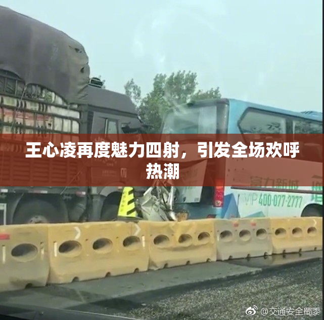 王心凌再度魅力四射，引发全场欢呼热潮