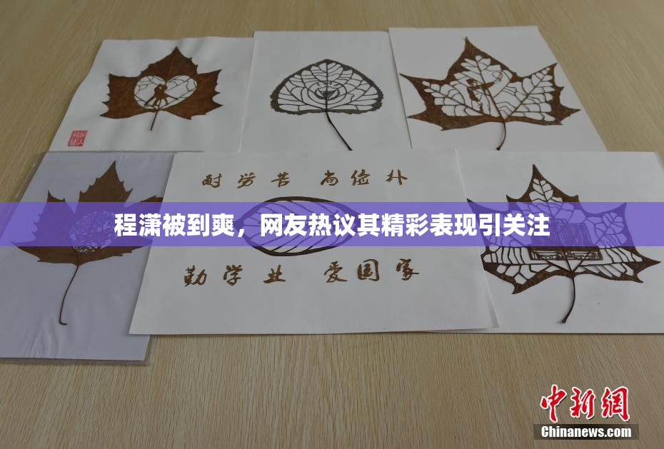 程潇被到爽，网友热议其精彩表现引关注