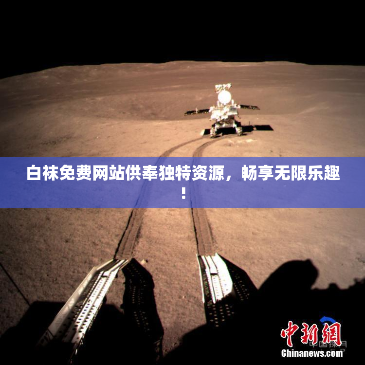 白袜免费网站供奉独特资源，畅享无限乐趣!