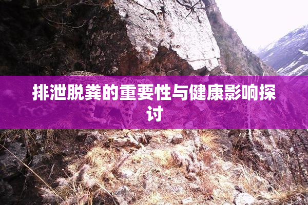 排泄脱粪的重要性与健康影响探讨