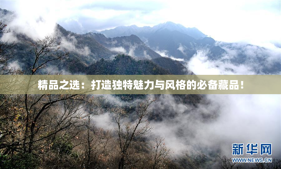 精品之选：打造独特魅力与风格的必备藏品！