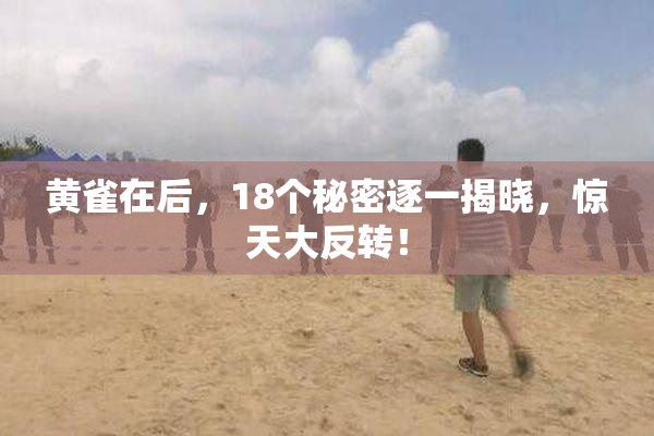 黄雀在后，18个秘密逐一揭晓，惊天大反转！