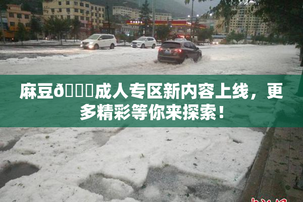 麻豆🔞成人专区新内容上线，更多精彩等你来探索！