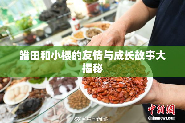 雏田和小樱的友情与成长故事大揭秘