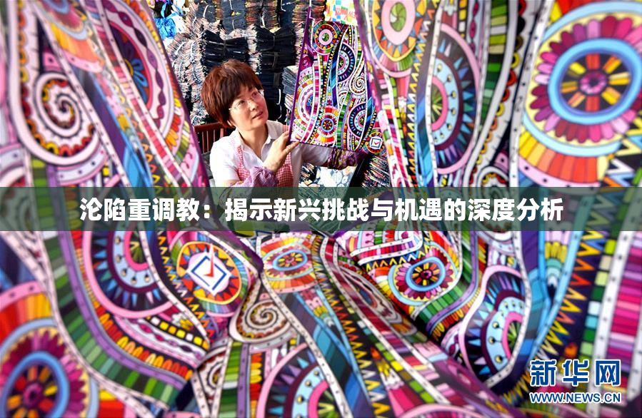 沦陷重调教：揭示新兴挑战与机遇的深度分析