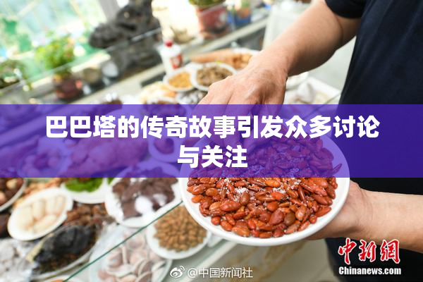巴巴塔的传奇故事引发众多讨论与关注