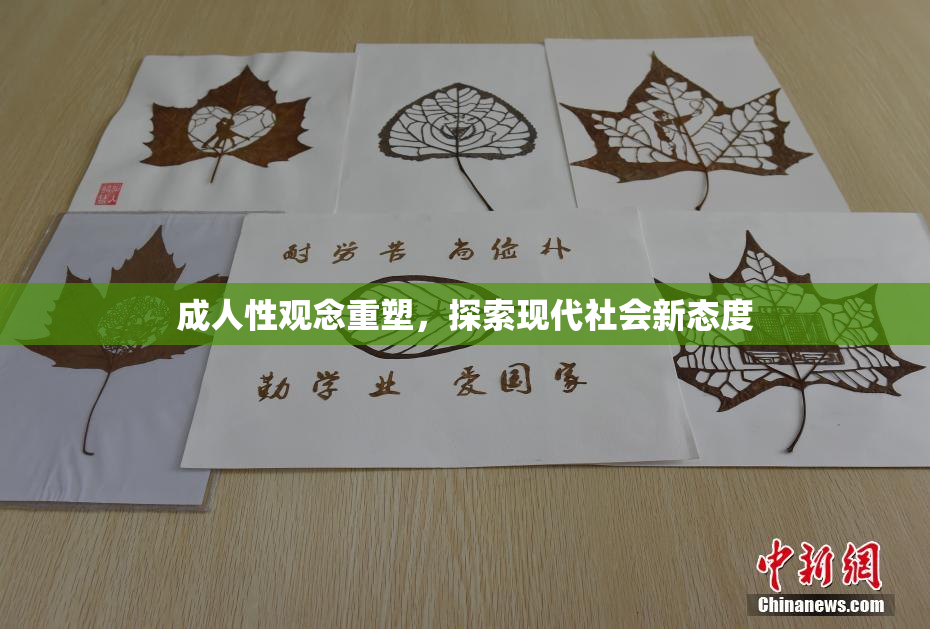 成人性观念重塑，探索现代社会新态度