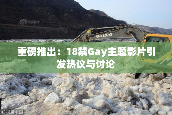 重磅推出：18禁Gay主题影片引发热议与讨论