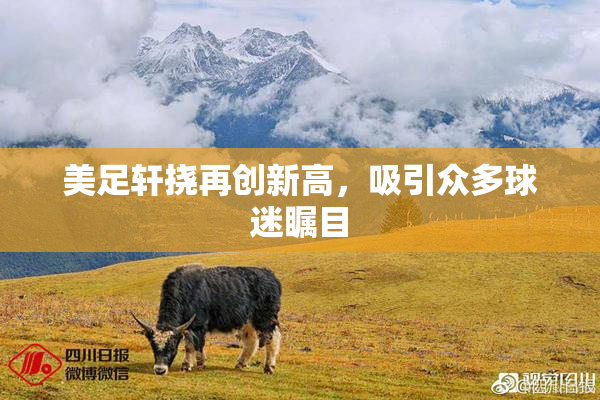 美足轩挠再创新高，吸引众多球迷瞩目