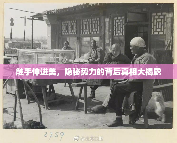 触手伸进美，隐秘势力的背后真相大揭露