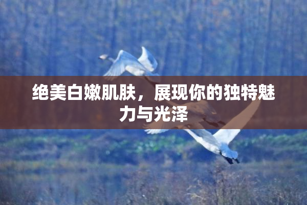 绝美白嫩肌肤，展现你的独特魅力与光泽