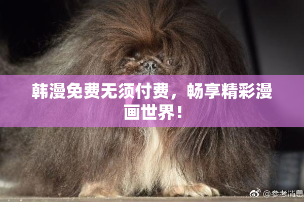 韩漫免费无须付费，畅享精彩漫画世界！