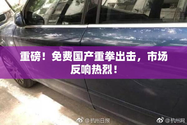 重磅！免费国产重拳出击，市场反响热烈！