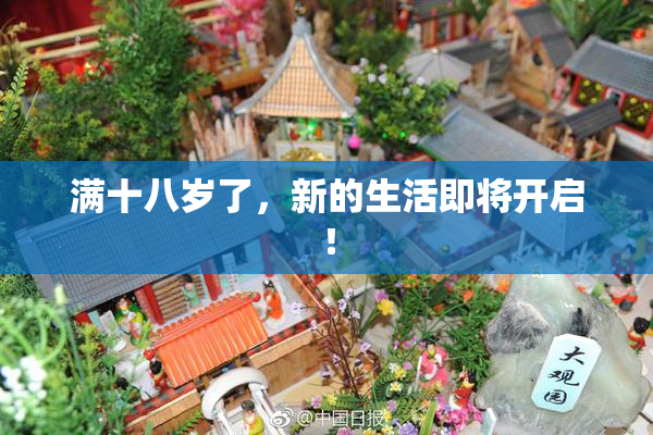 满十八岁了，新的生活即将开启！