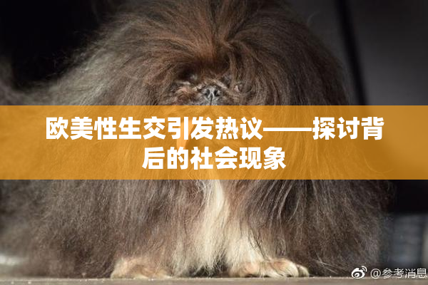 欧美性生交引发热议——探讨背后的社会现象