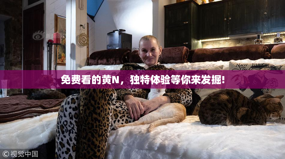 免费看的黄Ν，独特体验等你来发掘!