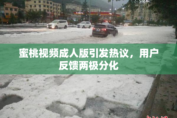 蜜桃视频成人版引发热议，用户反馈两极分化