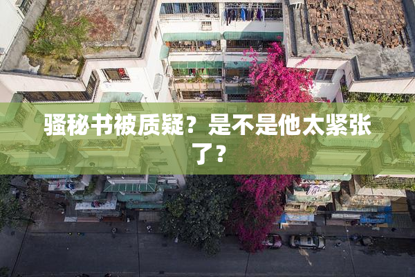 骚秘书被质疑？是不是他太紧张了？