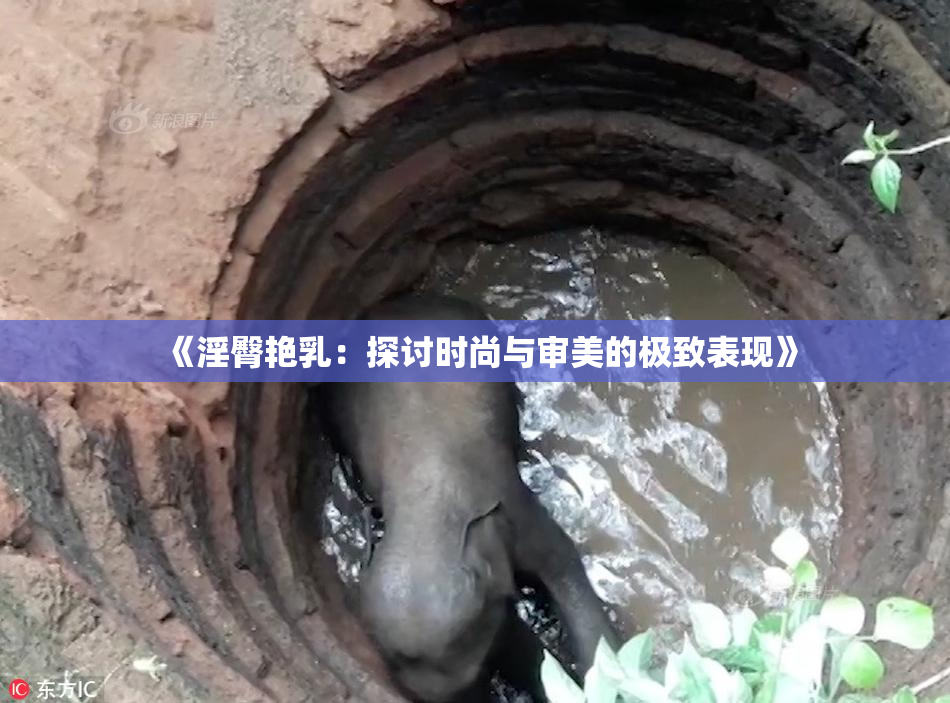 《淫臀艳乳：探讨时尚与审美的极致表现》
