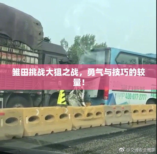 雏田挑战大狙之战，勇气与技巧的较量！