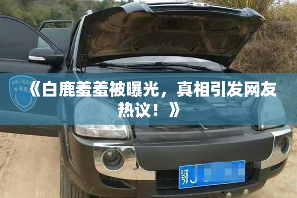 《白鹿羞羞被曝光，真相引发网友热议！》