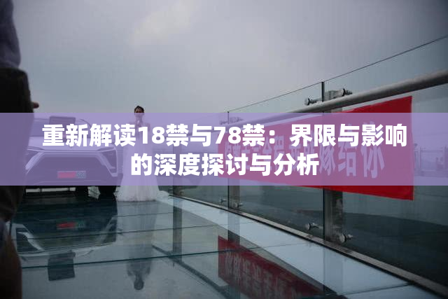 重新解读18禁与78禁：界限与影响的深度探讨与分析
