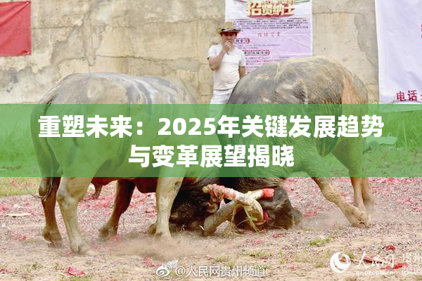 重塑未来：2025年关键发展趋势与变革展望揭晓