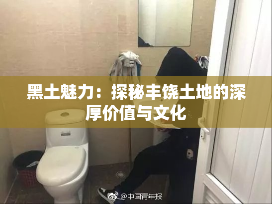 黑土魅力：探秘丰饶土地的深厚价值与文化