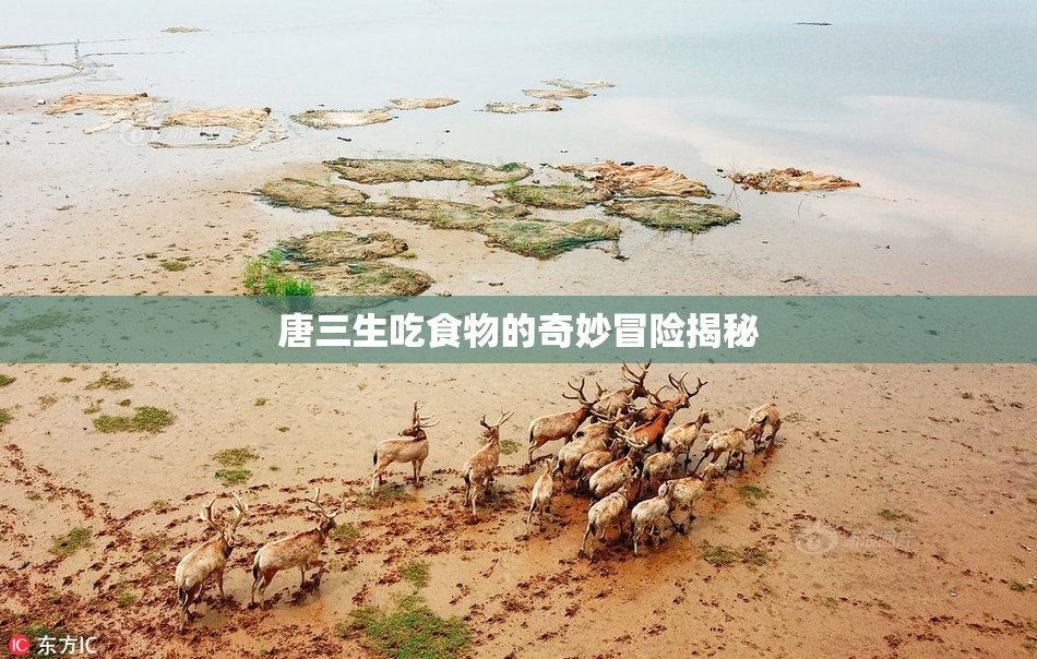 唐三生吃食物的奇妙冒险揭秘