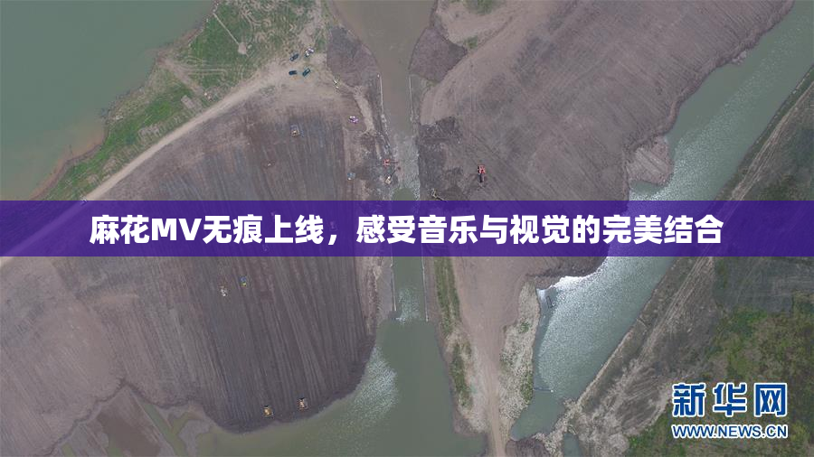 麻花MV无痕上线，感受音乐与视觉的完美结合