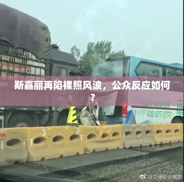 斯嘉丽再陷裸照风波，公众反应如何？
