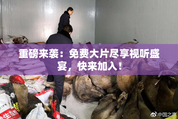重磅来袭：免费大片尽享视听盛宴，快来加入！