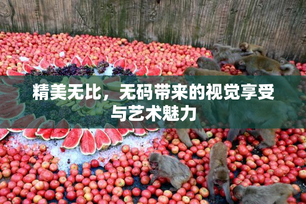 精美无比，无码带来的视觉享受与艺术魅力