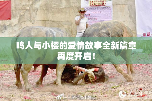 鸣人与小樱的爱情故事全新篇章再度开启！