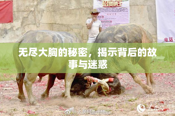 无尽大胸的秘密，揭示背后的故事与迷惑