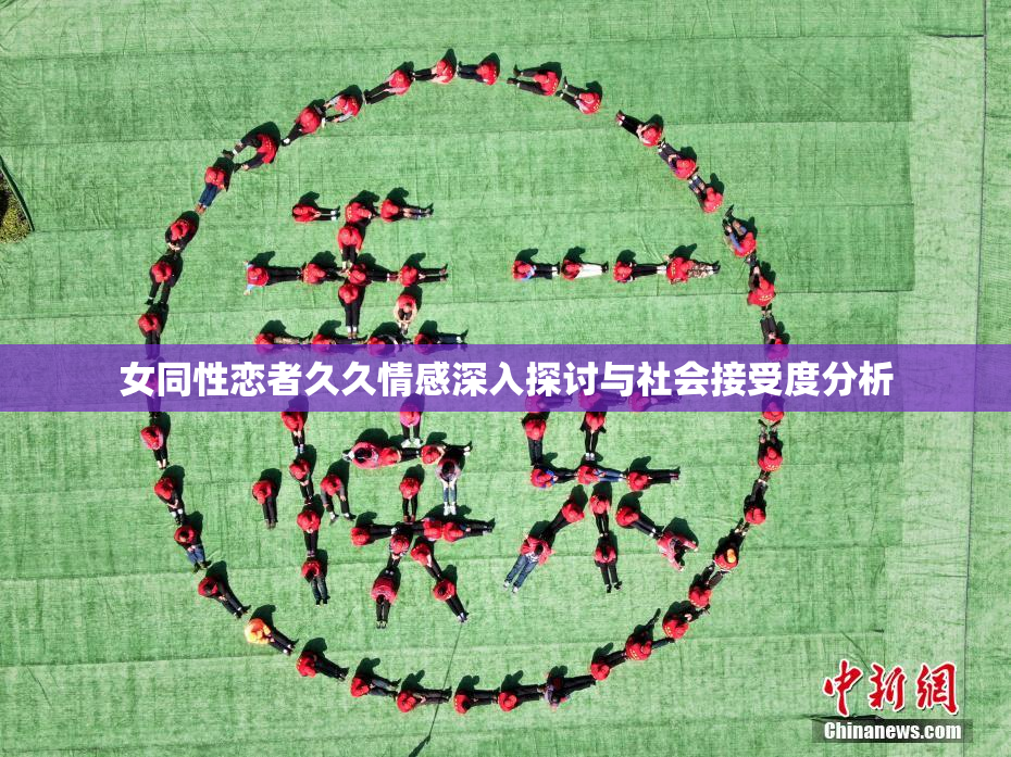 女同性恋者久久情感深入探讨与社会接受度分析