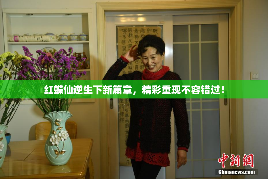 红蝶仙逆生下新篇章，精彩重现不容错过！